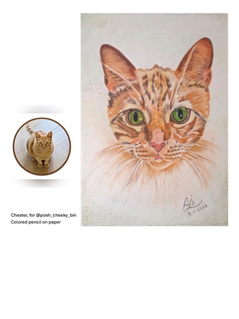 Custom Pet Portrait Commissions - Picture 6 of 7